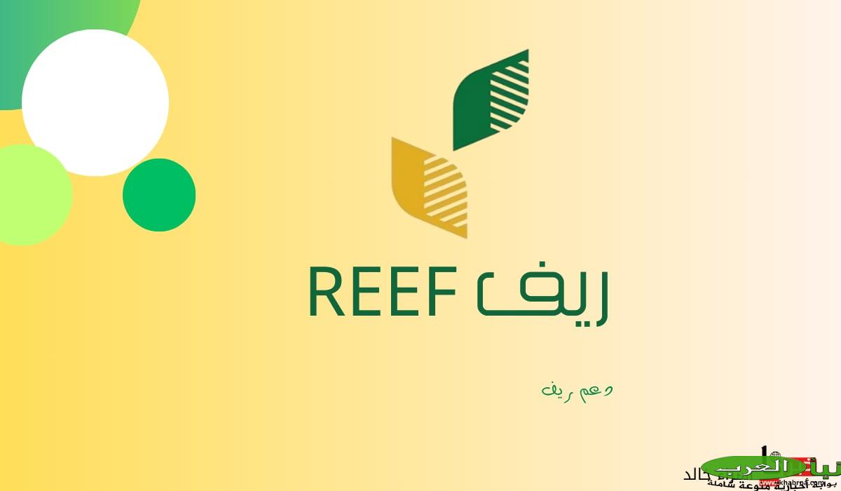 للتحقق من أهليتك.. رابط reef.gov.sa استعلام عن دعم ريف 1446